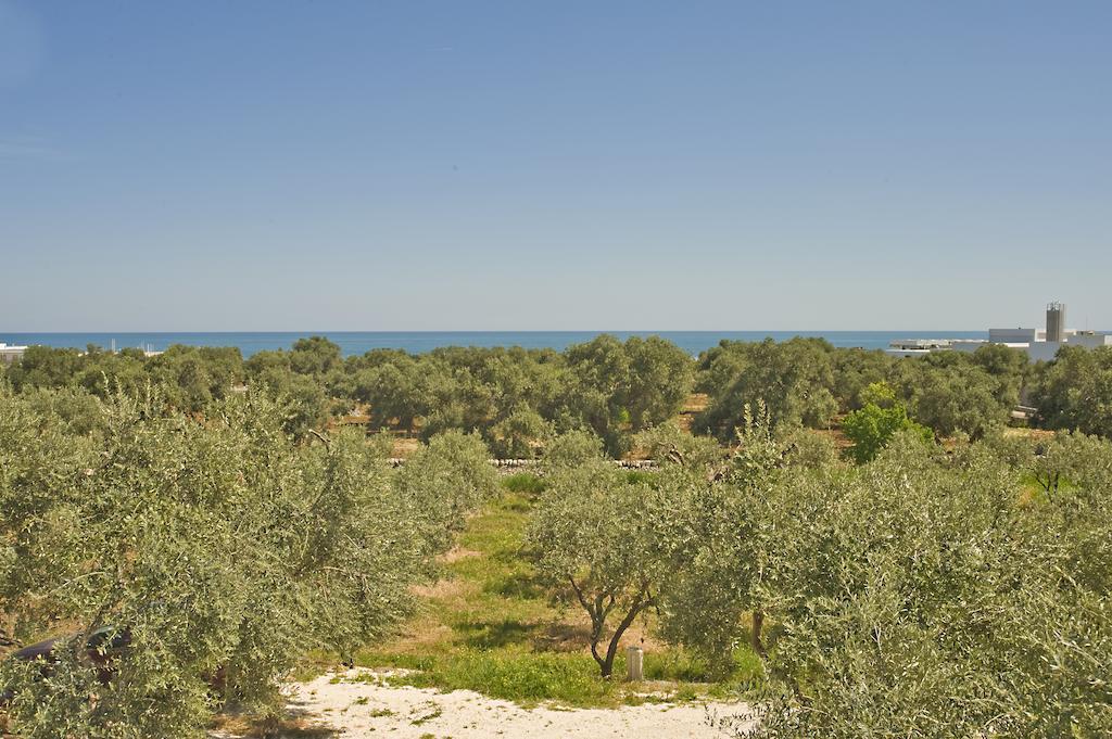 Masseria Spina Resort 莫诺波利 客房 照片