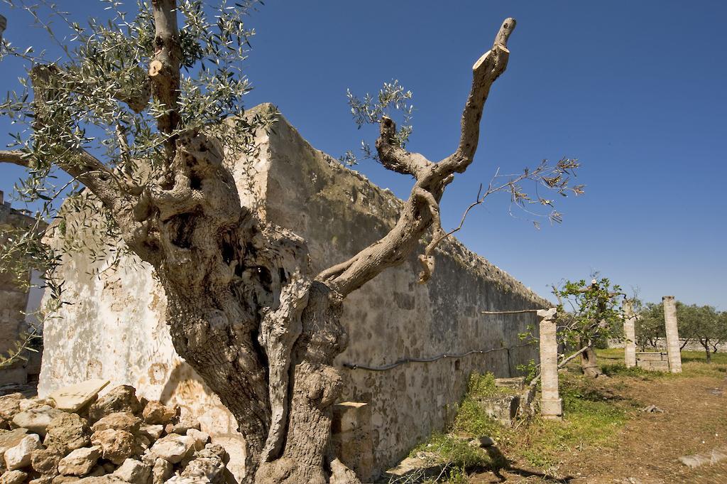 Masseria Spina Resort 莫诺波利 客房 照片