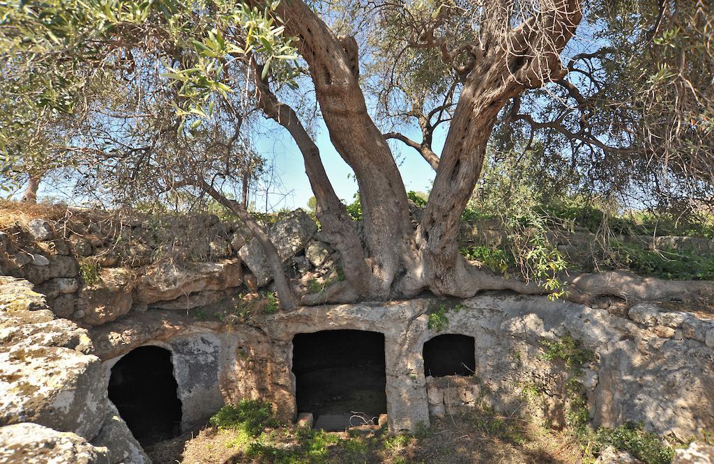 Masseria Spina Resort 莫诺波利 外观 照片